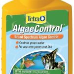 chiller maintenance-algae control