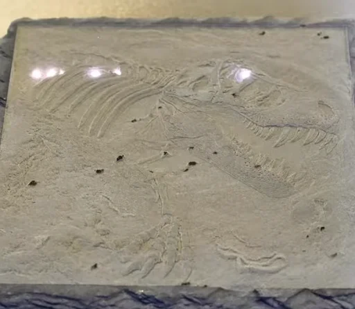 laser etching dinosaur fossil replicas