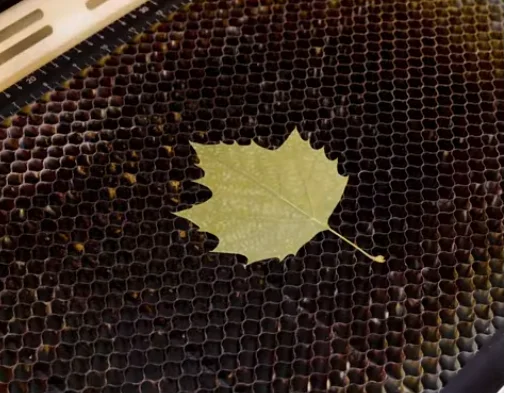 maple leaf on laser honeycomb bed