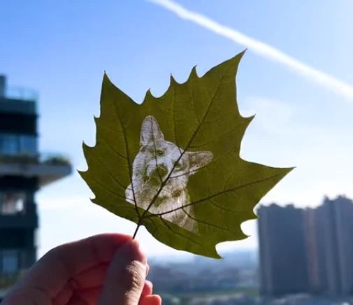 show laser engraving dog on leaf