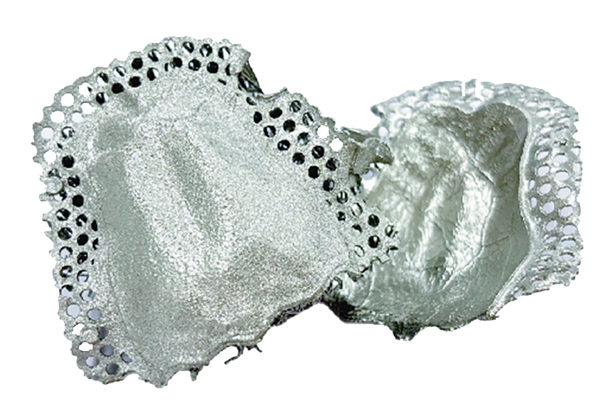 14.Oral