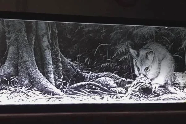 laser engraving on glass