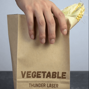 kraft paper bag